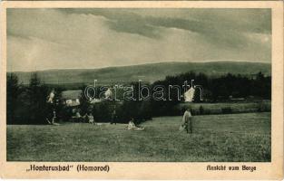 Homoród, Honterusbad, Ansicht vom Berge. Johann Weiss, F. Theil / fürdő látképe / spa