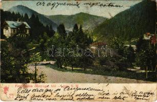 1905 Fenyőháza, Lubochna; délnyugat felé. Feitzinger Ede 654. A.J. 1904/14. / general view (szakadás / tear)