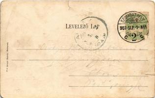 1907 Szombathely, Polgári fiúiskola. Divald Károly 9. sz. (szakadások / tears)