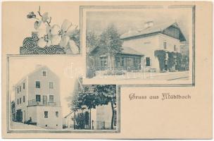 Rio di Pusteria, Mühlbach im Pustertal (Südtirol); Bahnhof / railway station, hotel, shop. Art Nouveau, floral