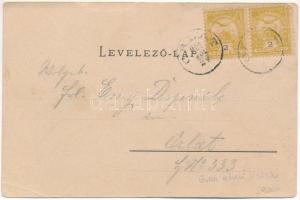 1901 Guraró, Auendorf, Gura Raului; látkép építkezéssel, üzlet. Joh. Simon kiadása / construction, s...