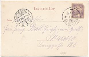 1900 Gyulafalva (Kommandó, Comandau); Comandoi úrilak, fűrésztelep. Bogdan F. fényképész / villa and...