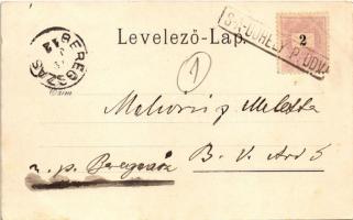 1899 (Vorläufer) Sátoraljaújhely, látkép. Lövy Adolf kiadása. Floral, litho (EK)