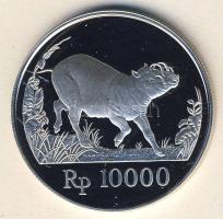 Indonézia 1987. 10.000R Ag "WWF-Babirussza" T:PP Csak 25.000db! Tanúsítvánnyal!