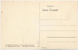 Nagyszeben, Hermannstadt, Sibiu; Erdei tó, csónakok. Kraft & Drotleff 10. / Lacul dumbravei / Wa...