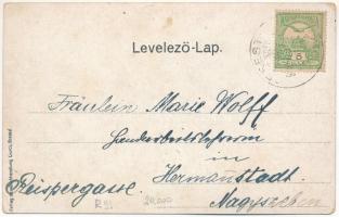 Brassó, Kronstadt, Brasov; Noa, Villa T. Alexi. Ciurcu (kopott sarkak / worn corners)