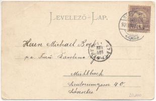 1901 Szászváros, Broos, Orastie; Régi posta utca, Villa Antoni, Vár malom. Graef H. kiadása / street...