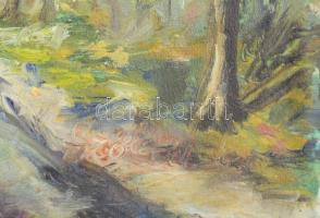 Szöllősi Katica (-): Pailicsi erdő. Olaj, farost, jelezve jobbra lent. Hátoldalán autográf feliratta...