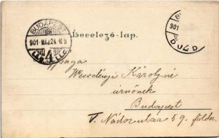 1901 Trieste, Trieszt; litho (fl)