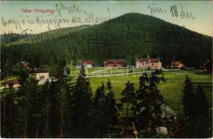 1909 Tátra, Tatry; Virágvölgy (Rózsavölgy), Blumental, Kvetnica; látkép. Fuchs Gyula felvétele és kiadása / general view (EK)