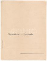 Budapest I. Várkert, Savoyai Jenő szobor. Taussig Arthur 5614. - hajtatlan panorámalap (18,2 x 14 cm...