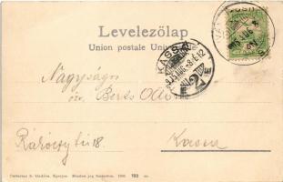 1905 Tátra, Tatry; A Magas-Tátra Poprád felől tekintve. Cattarino S. kiadása 192. sz. / Die Hohe Tat...