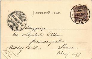 1901 Gödöllő, Pályaudvar, vasútállomás. Ripka F. "Gödöllő" című művéből. Pick Testvérek (E...