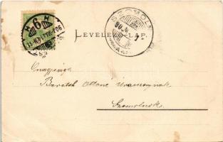 1903 Budapest I. Az új királyi vár és jobbparti részlet, gőzhajó. Ganz Antal 120. (EK)