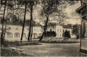 1914 Daruvar, Kup. perivoj / Kurpark / spa park