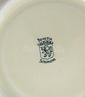 Schumann Bavaria teás csésze aljjal. Kézzel festett, jelzett, hibátlan