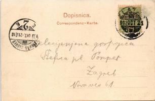 1903 Zlatar. Alexander Biller (surface damage)