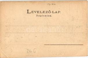 Zimony, Semlin, Zemun; Millenium-Denkmal / Millenniumi emlékmű / Hungarian Millennium monument (EB)