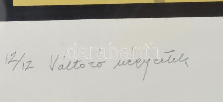 Bartl József (1932-2013): Változó négyzetek, 1981. Szitanyomat, papír, jelzett, számozott: 12/12. La...