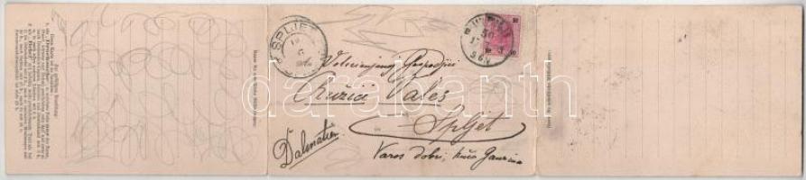 1903 Wien, Vienna, Bécs; Panorama vom äusseren Burgthor aus - 3-tiled folding panoramacard