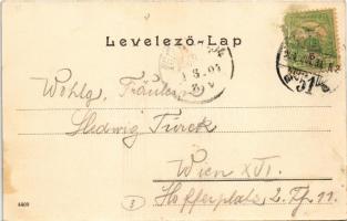 1904 Budapest V. Petanovits József pilseni sörcsarnoka a Vigadótéren (Thonet-udvar), étterem terasza