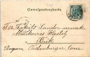 1902 Salzburg, Pass Lueg, Salzburg von Mülln, Gaisberg-Bahn, Hellbrunn, Gollinger Wasserfall / mount...