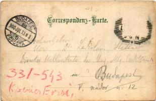 1900 Linz, Franz Josef-Warte, Museum, Sparkassagebäude, Marktplatz mit Neptunbrunnen, Hotel Erzherzo...