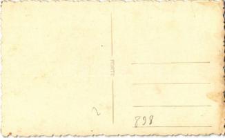 Szürkemarha / Hungarian Grey. photo (EK)