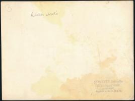 cca 1930 Református egyházi méltóságok, elől középen Ravasz László (1882-1975) a Dunamelléki Reformá...