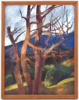 Ezüst György (1935-2017): Őszi hangulat. Olaj, farost, jelzett. Fakeretben, 46×36 cm