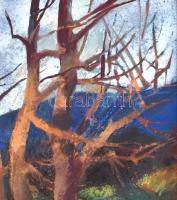 Ezüst György (1935-2017): Őszi hangulat. Olaj, farost, jelzett. Fakeretben, 46×36 cm