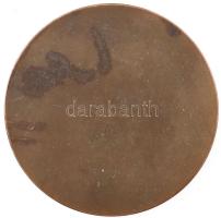 Reményi József (1887-1977) 1913. "Aurora" egyoldalas bronz emlékérem, peremén "É.K.E....