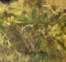 Olvashatatlan jelzéssel: Csendőrök lóháton. Pasztell, papír. Üvegezett, dekoratív fakeretben. 48,5x6...