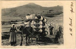 1903 Unterengadin, Heutransport / Szénaszállítás / hey transport (EK)