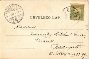 1904 Gyulafehérvár, Karlsburg, Alba Iulia; Római katolikus székesegyház. Schäser F. fénynyomdai műin...