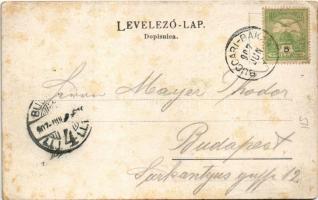 1907 Bakar, Szádrév, Bukar, Buccari; (EB)