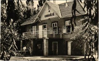 1960 Balatonboglár, Gondűző üdülő, asztalitenisz, pingpong asztal. Képzőművészeti Alap