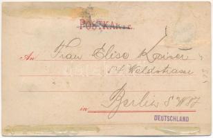 Valódi szárított havasi gyopár virággal / decorated art postcard with real dried edelweiss flower. l...