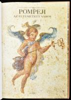 Salvatore Nappo: Pompeji, az eltemetett város. Bp., én., Gabo. Gazdag képanyaggal illusztrált. Kiadó...