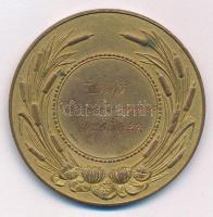 Berán Lajos (1882-1943) 1928. "Magyar Evezős Szövetség" bronz díjérem, hátoldalán "II...