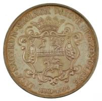 1994. "Jász-Nagykun-Szolnok megye Közgyűlése 1990-1994" kétoldalas Ag emlékérem, hátoldalá...