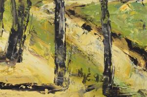 Nyáry Éva (1946-): Napfényes erdő, 1992. Olaj, farost. Jelezve jobbra lent. 50x60 cm