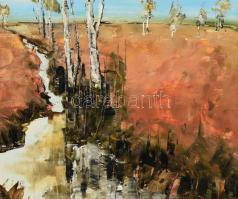 Nyáry Éva (1946-): Táj, 1989. Olaj, farost. Jelezve balra lent. Dekoratív fakeretben. 50x40 cm