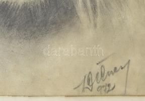 Olvashatatlan jelzéssel: Oroszlán. Ceruza, papír. Üvegezett fakeretben. 29,5x23 cm