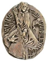 Vatikán 1968. "VI. Pál pontifikátusának 6. évére" jelzett Ag emlékplakett eredeti tokban. ...