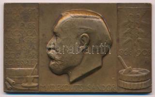 Beck Ö. Fülöp (1873-1945) 1908. "Nagyérdemű Elnökének 40 éves Tagsága Emlékére Az Országos Iparegyesület - Matlekovits Sándor" bronz plakett (48x80mm) T:AU,XF apró ph.