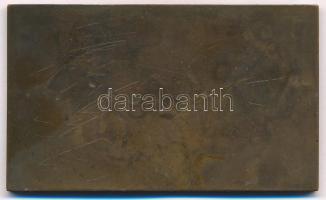 Beck Ö. Fülöp (1873-1945) 1908. "Nagyérdemű Elnökének 40 éves Tagsága Emlékére Az Országos Ipar...