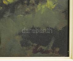 Olvashatatlan jelzéssel: Erdőrészlet. Olaj, vászon, kartonon, üvegezett fakeretben, 40x29 cm