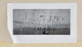 Olvashatatlan jelzéssel: Erdőrészlet. Olaj, vászon, kartonon, üvegezett fakeretben, 40x29 cm