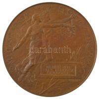 Beck Ö. Fülöp (1873-1945) 1896. "1896-iki Ezredéves Országos Kiállitás / Kiállítási Érem az Érd...